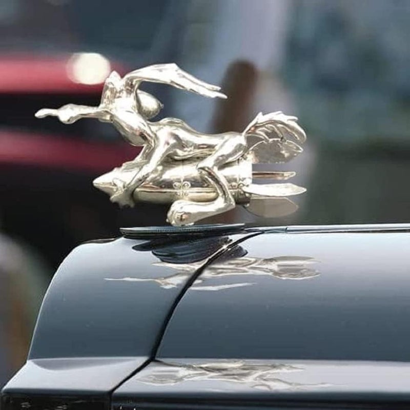 Rneswi Hood Ornaments for Vehicles Coyote Hood Ornament Made of Alloy for All Types of Cars Hoods Motorcycle Styling - Image 4